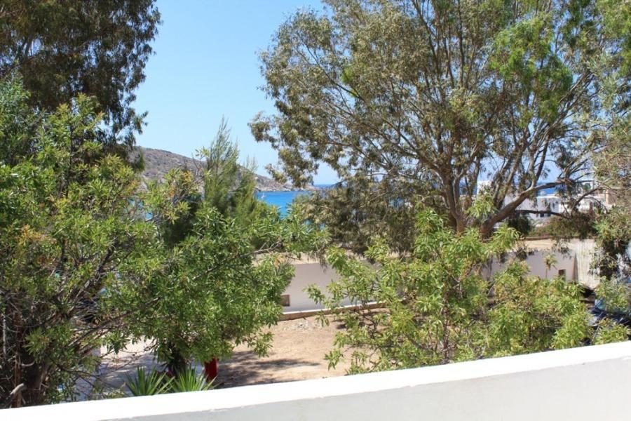 Purple Pig Stars Camping & Bungalows Mylopotas Exteriér fotografie